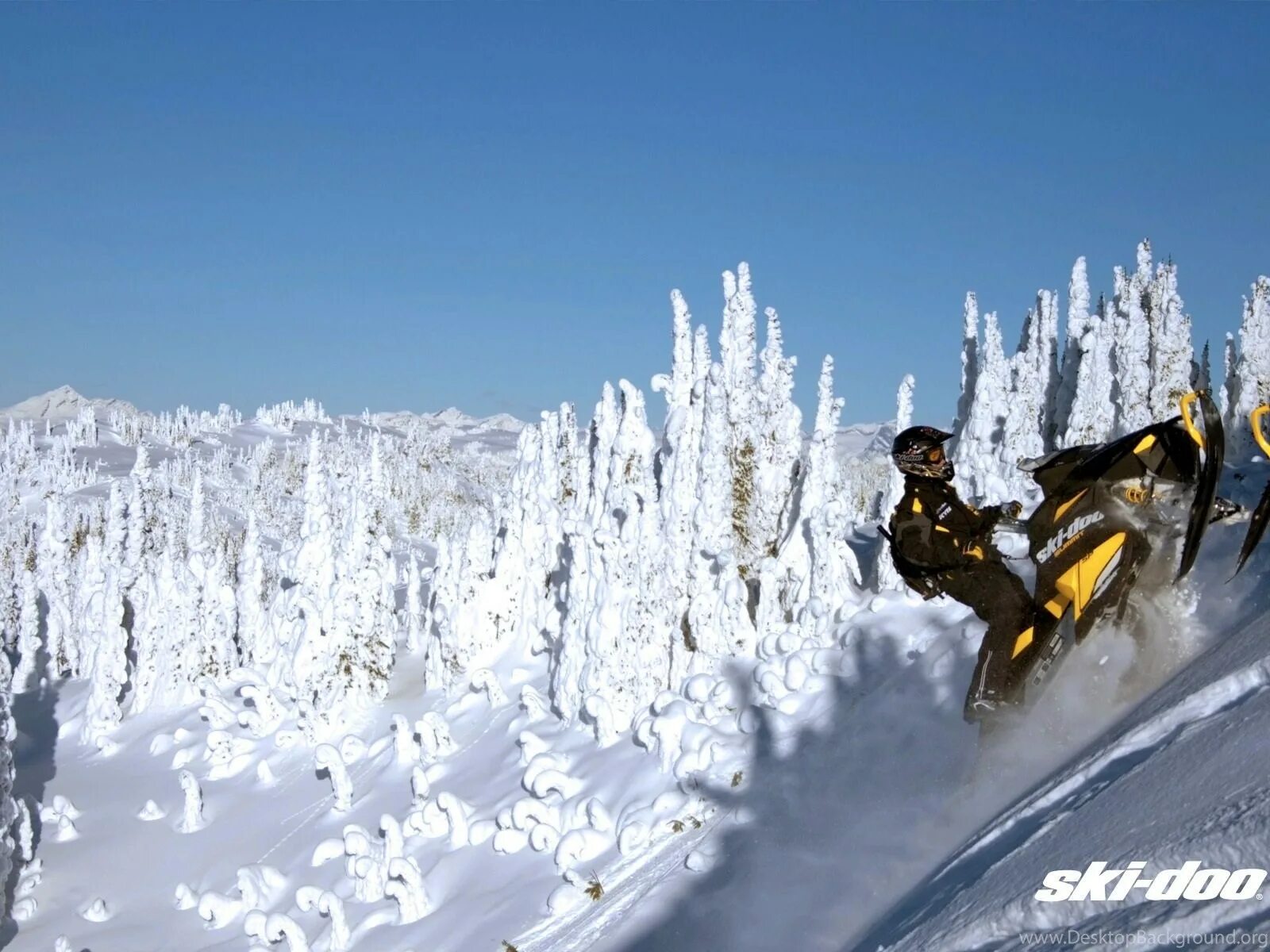 Линкс экстрим. Экстрим брп снегохода. brp summit в горах. ski-doo снегоход в лесу. 600 брп в горах.