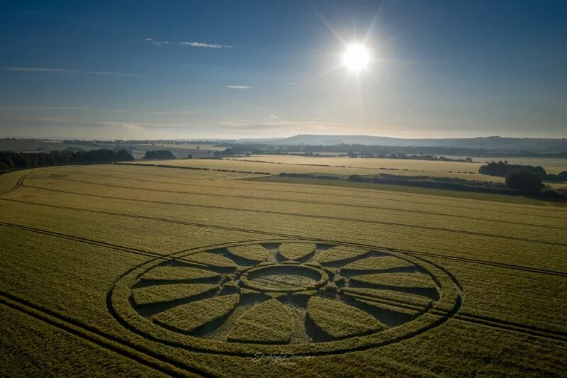 Новый круг. Круги на полях Англия Уилтшир. Crop circles 2020. Круги на полях Англия 2020. Круги на полях 2020 в России.