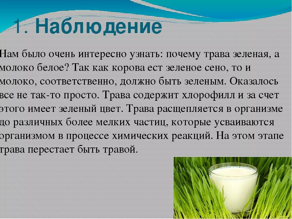 Почему герою рассказа необходимо было пить молоко. Коровье молоко. Почему молоко белое. Почему коровье молоко белое. Проект почему киснет молоко.