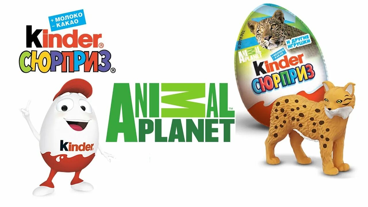 Kinder planet. Kinder сюрприз animal Planet. Киндер сюрприз животные коллекция Анимал планет. Киндер Натунс animal Planet. Киндер сюрприз Энимал планет.