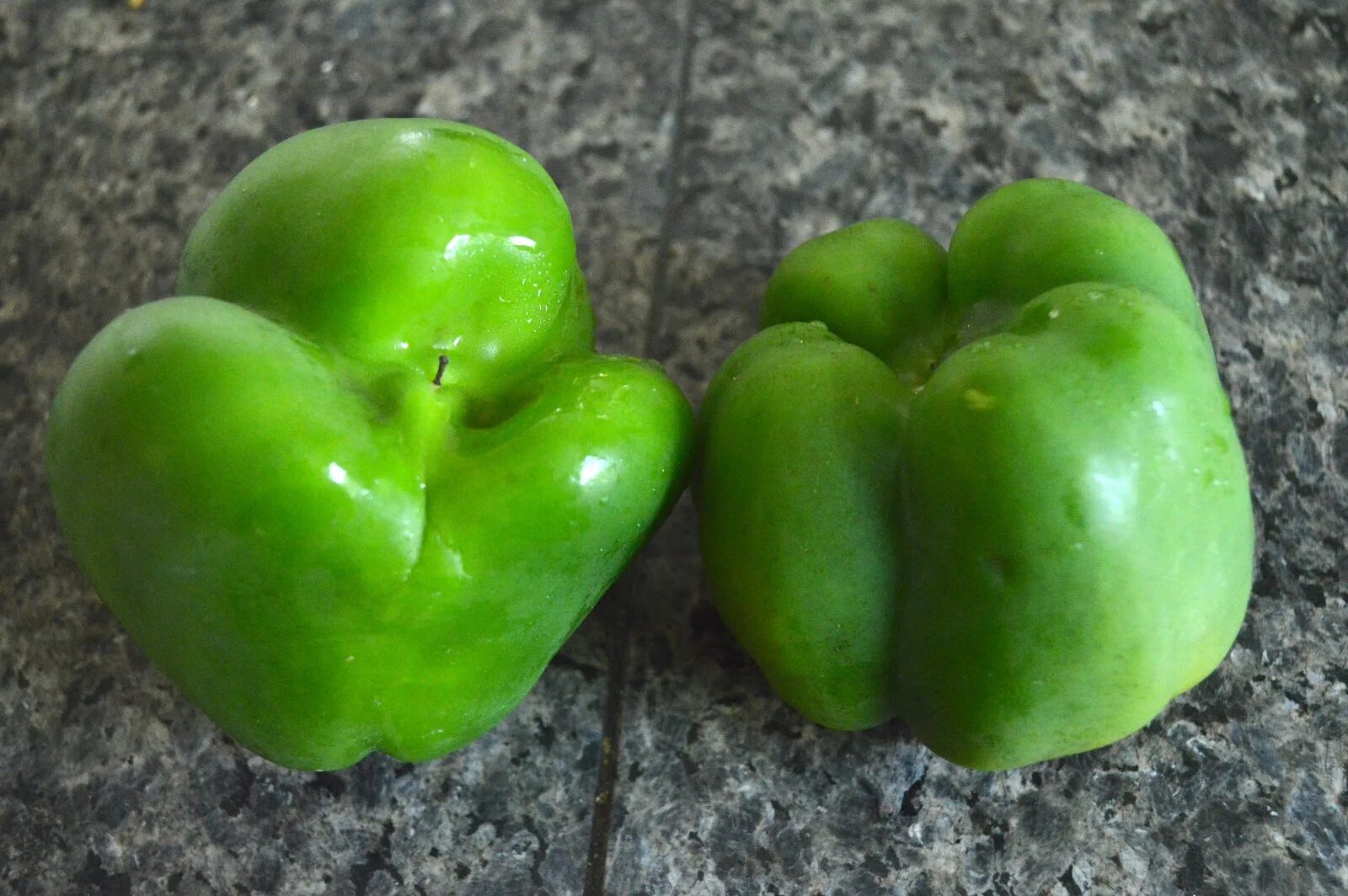 Male and female Bell Peppers. Green Bell Pepper dish. Pepper Kernels. Bell Pepper and pregnancy. Peppers перламутровые