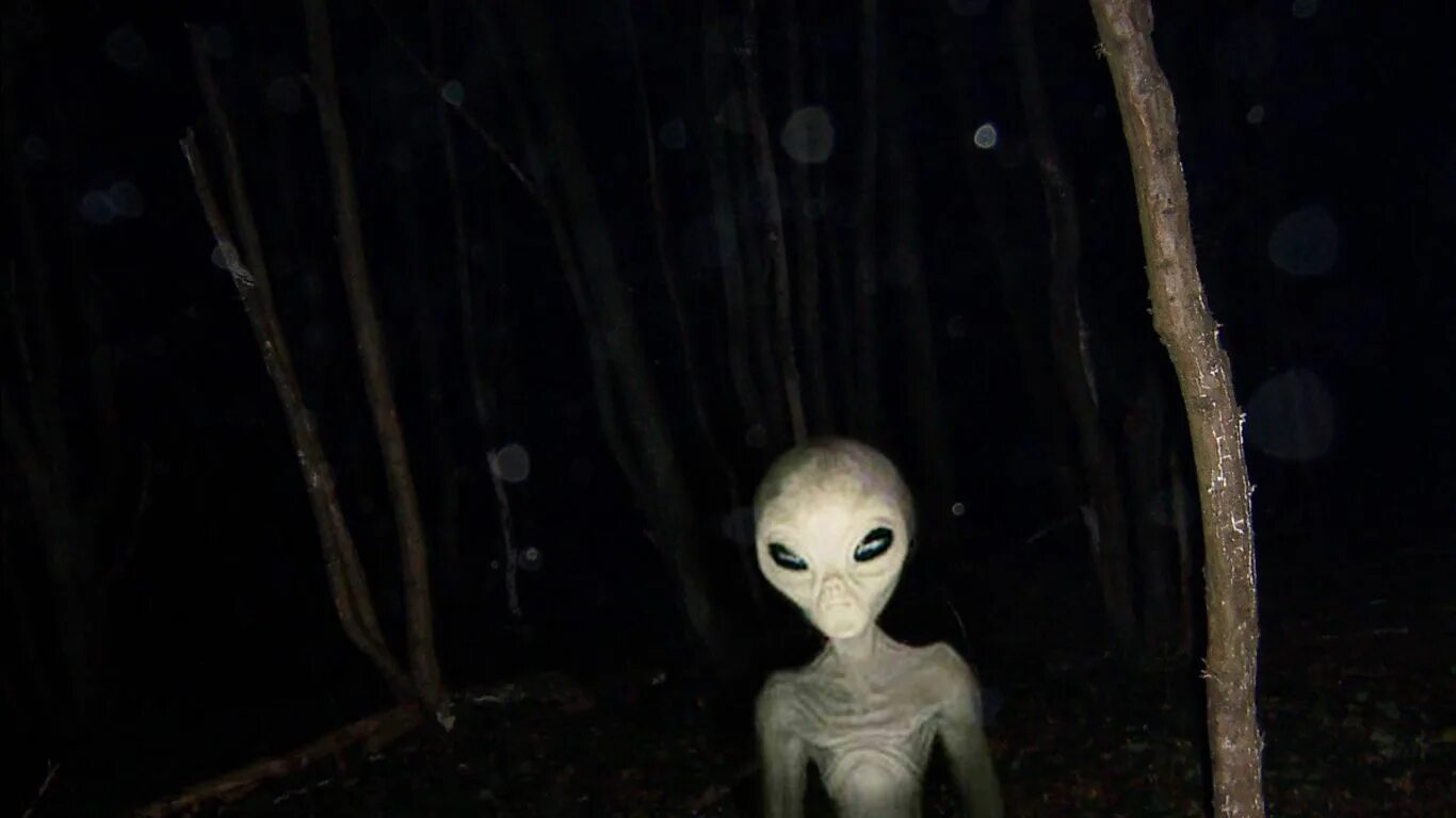 Real life alien. Существуют ли инопланетяне. Существуют ди пришелцы. Инопланетянев ряльнои жизни.