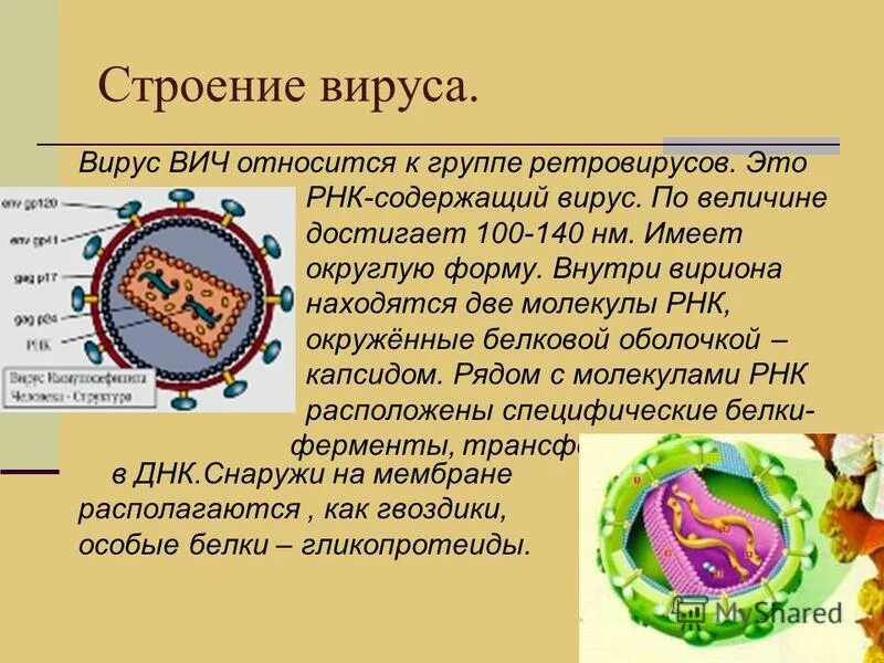 Вич относится к группе