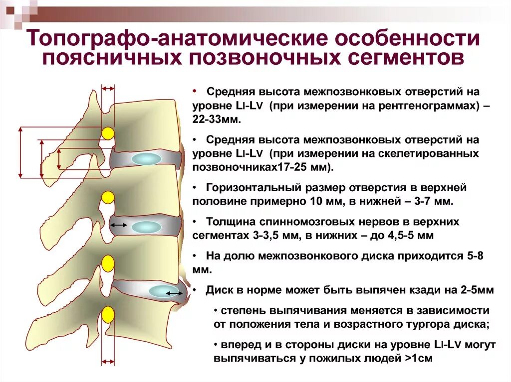 Мр дистрофических изменений пояснично крестцового отдела позвоночника. Компрессия s1 корешка позвоночника.. Диаметр позвоночника поясничного отдела l4. Высота диска в поясничном отделе норма. Снижена высота межпозвонковых дисков с4-.