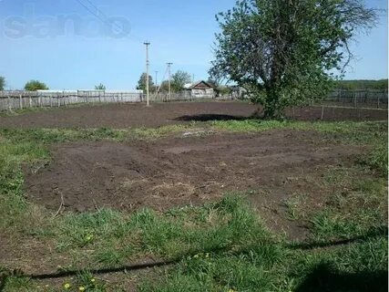 Гисметео корсаковка саратовская область