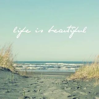 More beautiful life