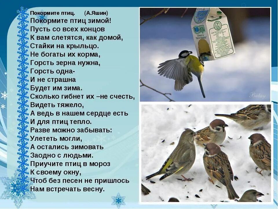 Стихотворение покормите зимой. Стихи про птиц. Стихи про птиц для детей. Стихи про зимующих птиц для детей. Стихи про зимних птиц.