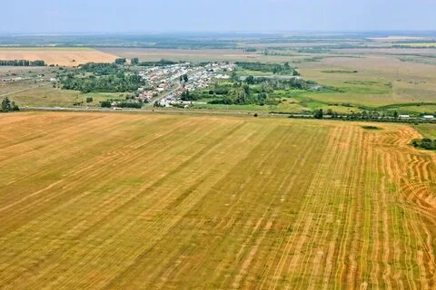 Погода чердаклинском районе
