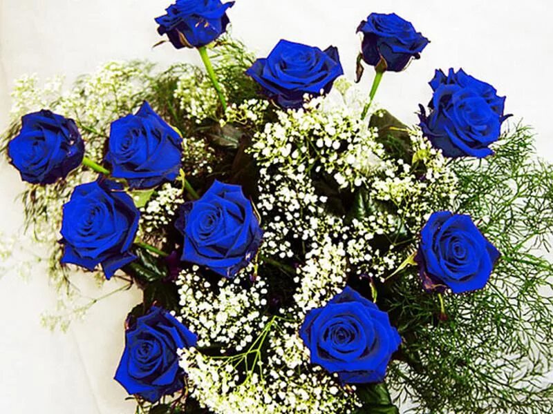 Синий день. Открытки в синих тонах с цветами. Красивые синие цветы букет. Букет синих цветов с днем рождения. Цветы для мужчины в синих тонах.
