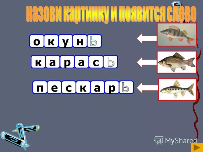 Различие 7 букв. Рыбы с ь на конце. Названия рыб с ь. Название рыб с окончанием на ь. Рыбы с мягким знаком на конце.
