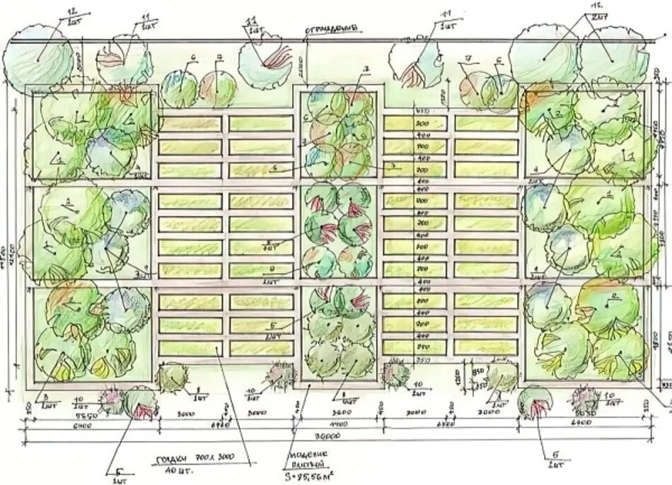 Планы высадки. Оптимальная ширина грядки на огороде для овощей. Схема расположения грядки по сторонам света. Схема грядок по Митлайдеру. Схема размещения грядок на огороде.