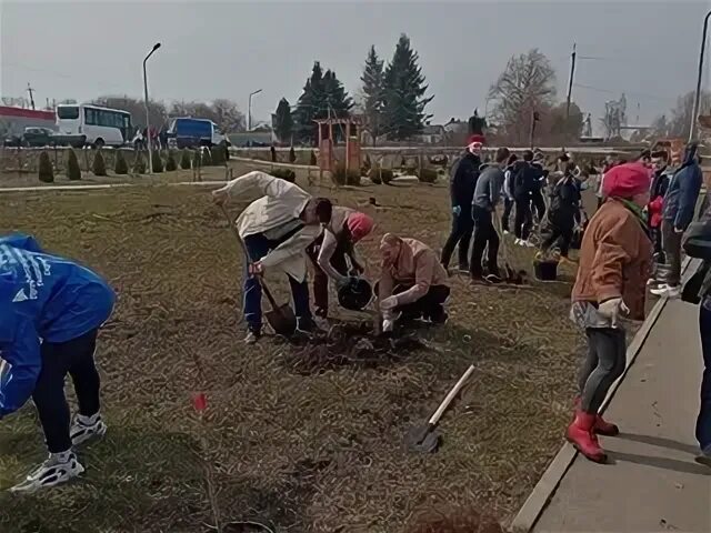 Когда в одоеве 11 часов утра