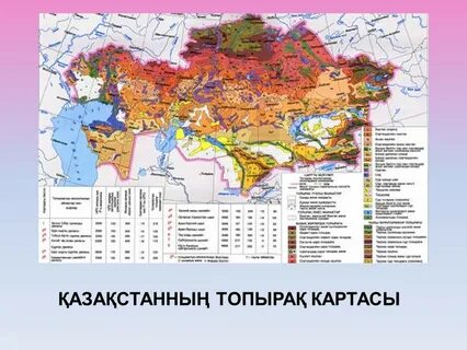 Жер карта
