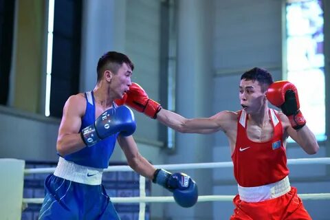 Бокс чемпионат казахстана