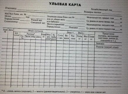 Учет пчел