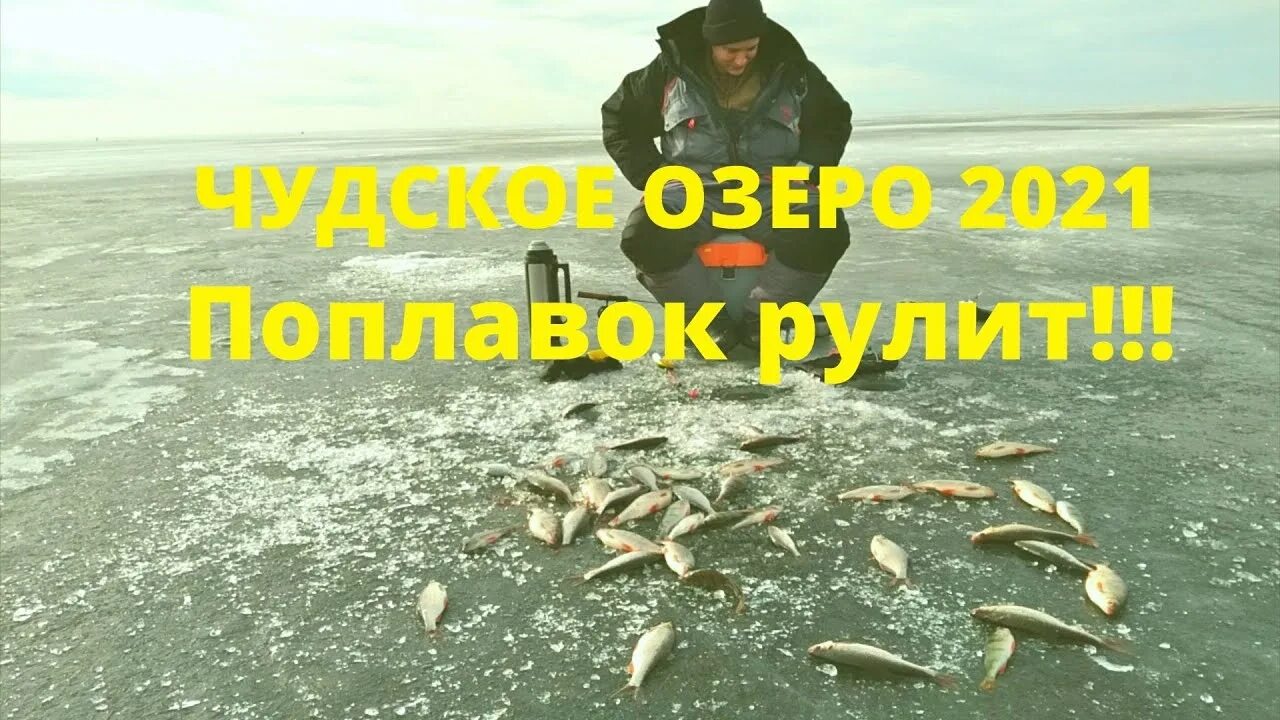 Рыба чудского озера. Рыбалка на Чудском озере 2021. Чудское озеро рыбалка зимой. Зимняя рыбалка на Чудском озере. Рыбалка на Псковском озере.