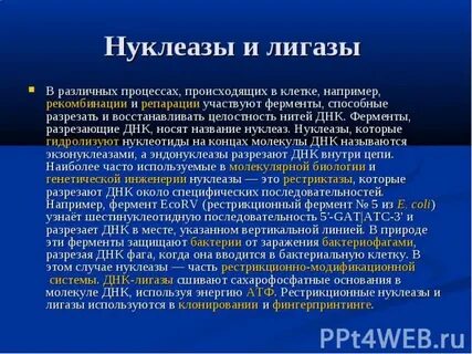 Нуклеазы