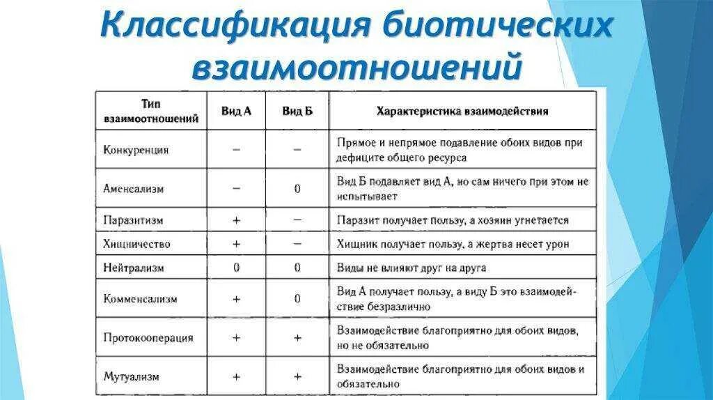 Основные типы взаимодействия видов. Типы взаимодействий между организмами таблица. Таблица типы взаимодействия видов биотических связей. Таблица по типам биотических взаимоотношений. Классификация биотических взаимодействий таблица.