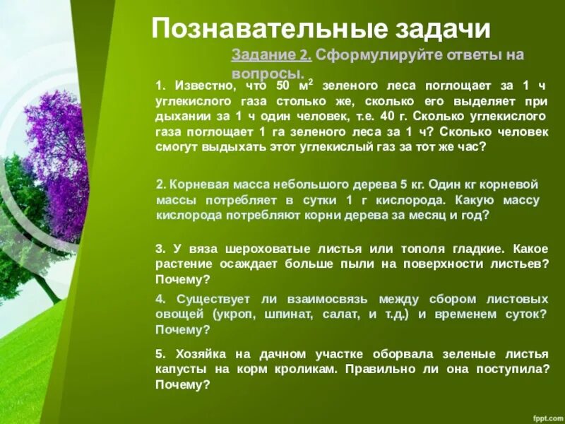 Известно что 50 м2 зеленого леса поглощает. Один гектар леса. Вес корня дерева. Роль леса в поглощении углекислоты. Деревья для очистки воздуха.