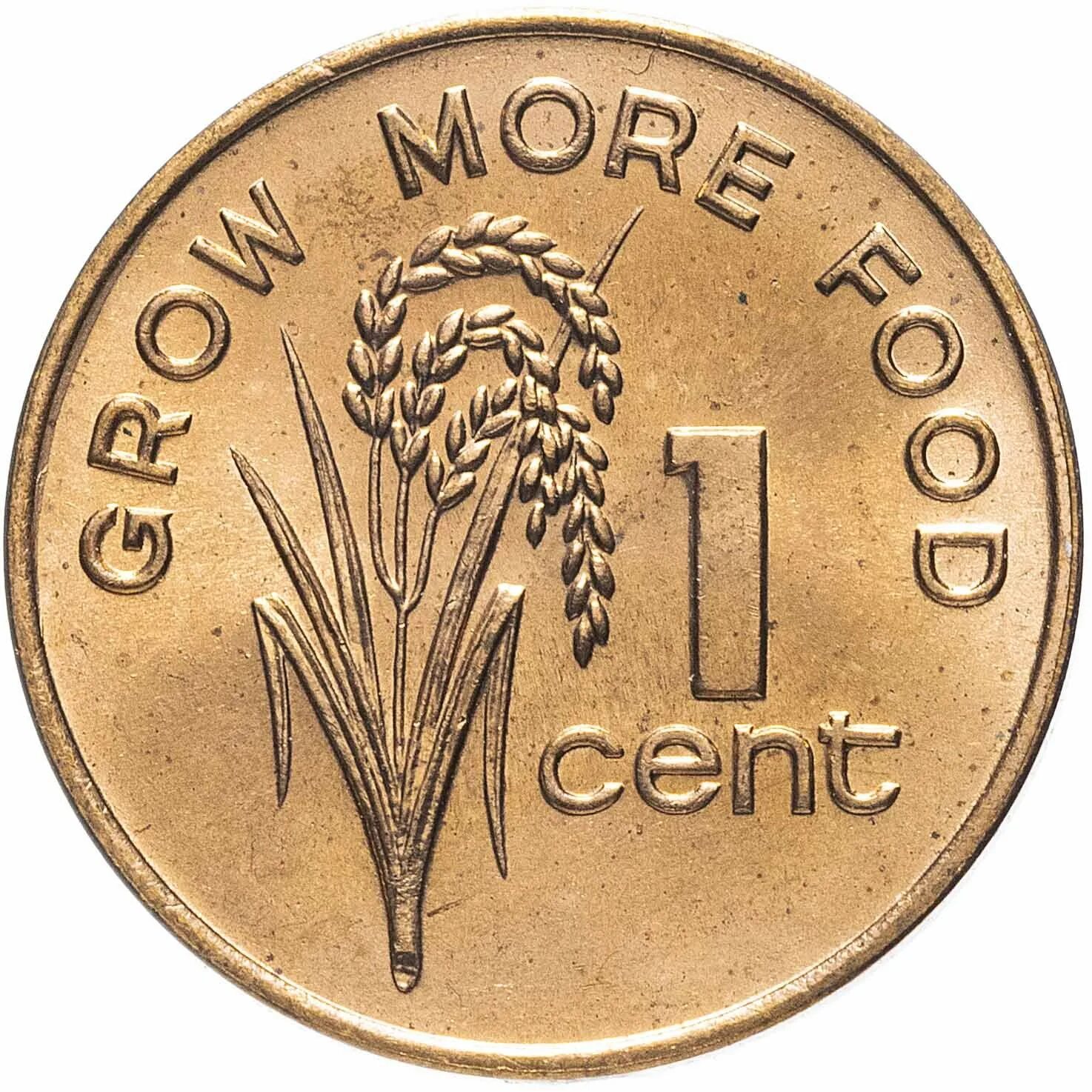 1 cent. 1 Цент монета. 1 Цент Фиджи. Монеты Фиджи. Один цент 1978.