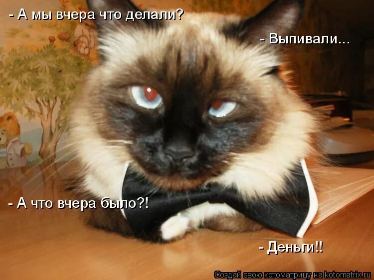 капец котик. что вчера было интересного. что вчера было интересного. что вчера было интересного. картинки завтра понедельник вчера же была пятница.