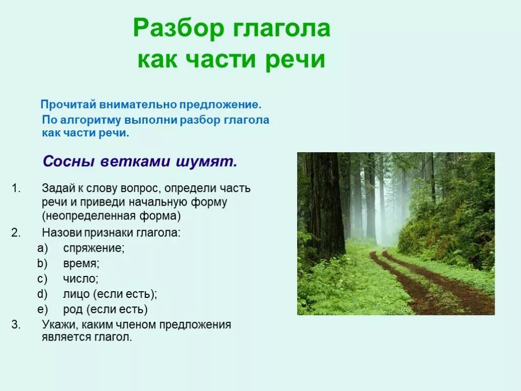 Сосновую разбор как часть речи 3 класс