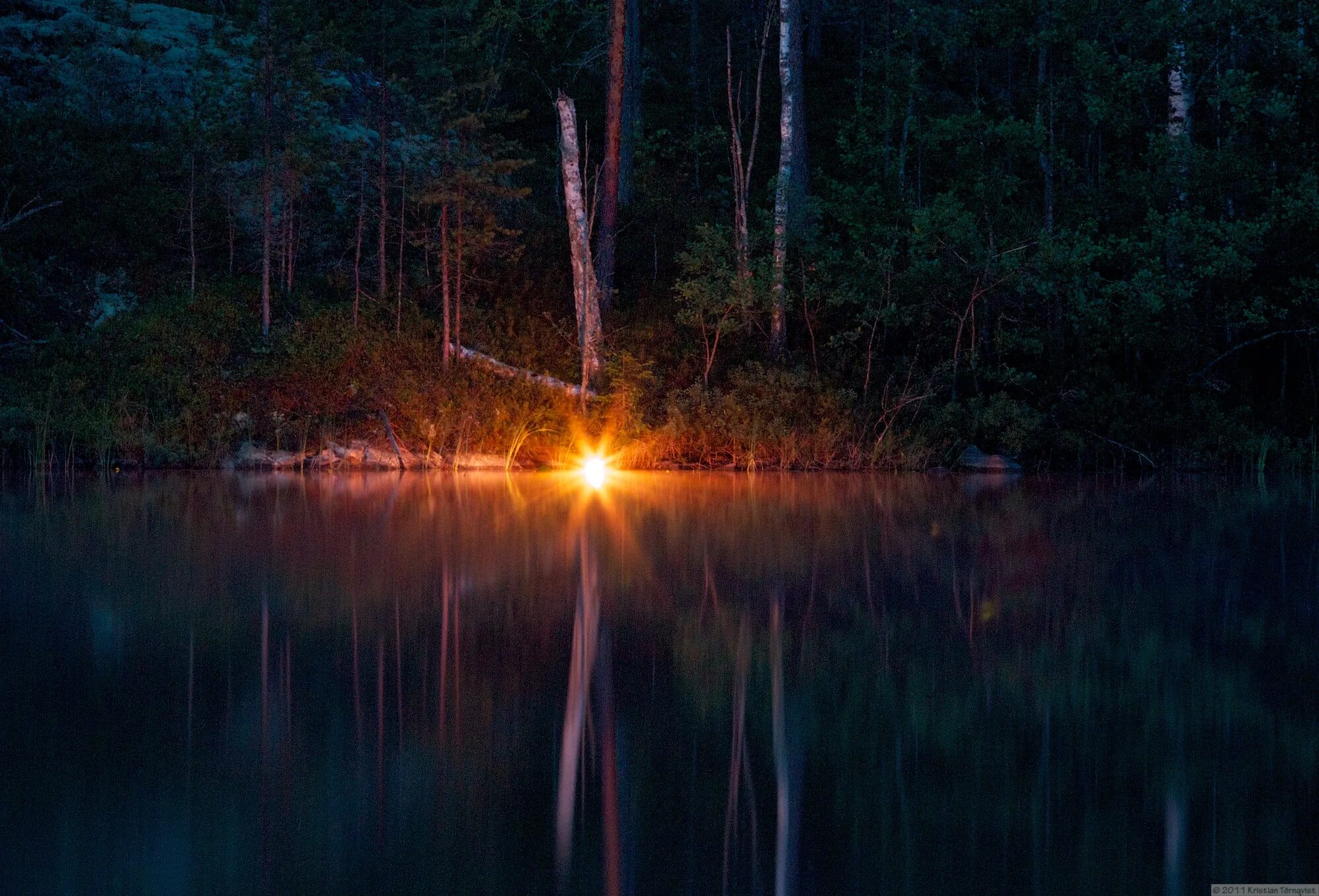 Ночью в лесу 3 класс. Ночное озеро. «Ночь в лесу». Река ночью. Озеро в лесу ночью.