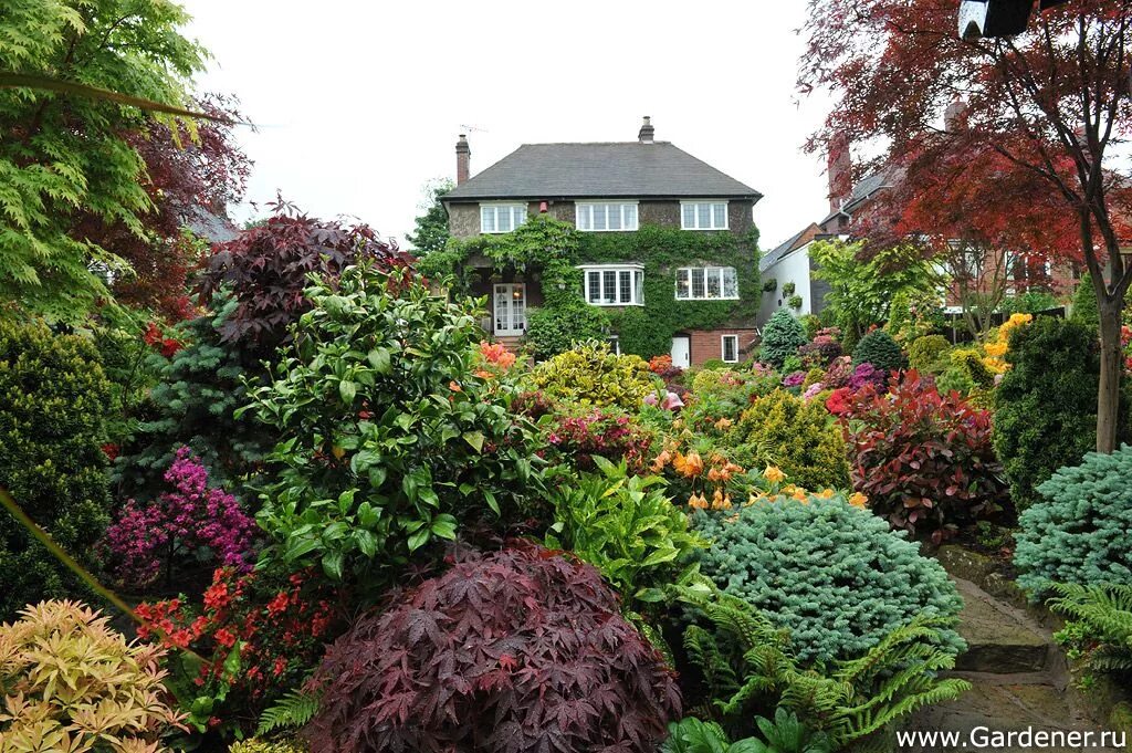 Plant england. Сад four Seasons Garden.