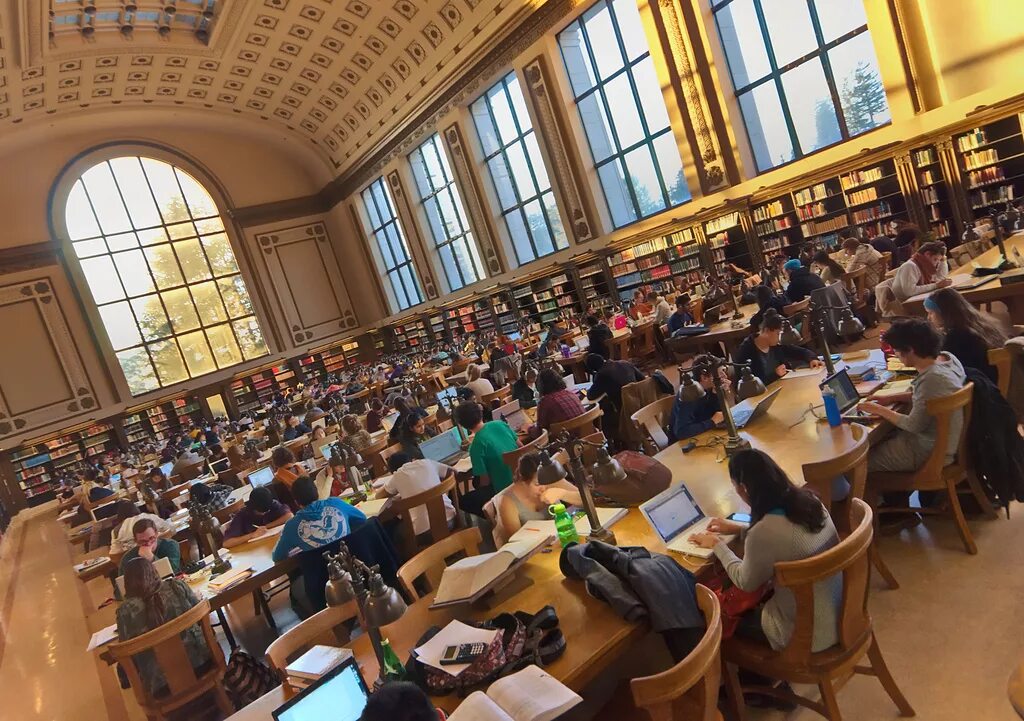 Study location
