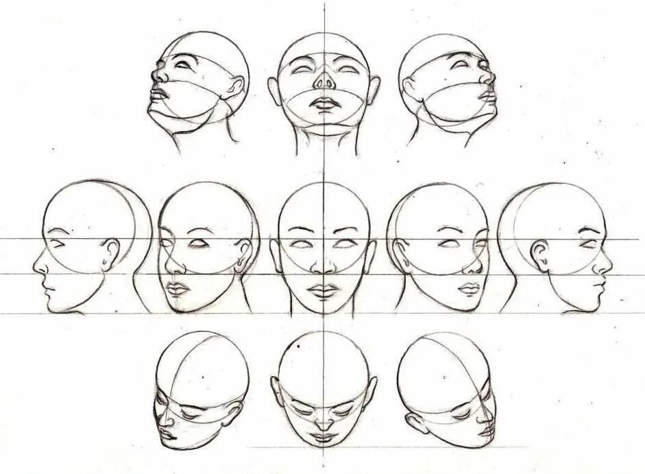 Голова в разных ракурсах. Лицо с разных ракурсов. Голова человека в разных ракурсах. Ракурсы головы. Опускать снизу