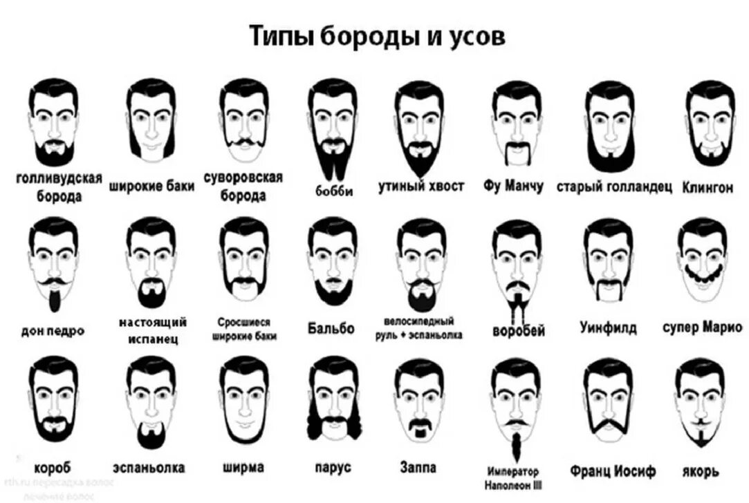 Виды бороды у мужчин названия