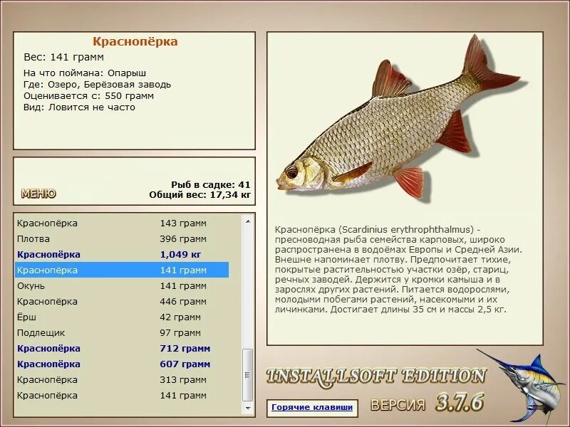 Красноперка реальная рыбалка. Где ловить красноперку. На что ловить красноперку. Краснопёрка рыба на что ловить. Реальная рыбалка лесное озеро на что ловить