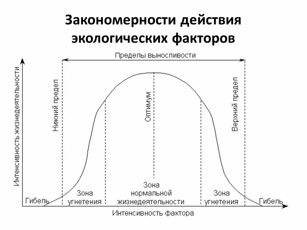 Схема влияния экологических факторов. Схема действия экологического фактора. Схема действия экологического фактора на организм. Общие закономерности действия факторов. В экологии существуют определенные закономерности воздействия экологических