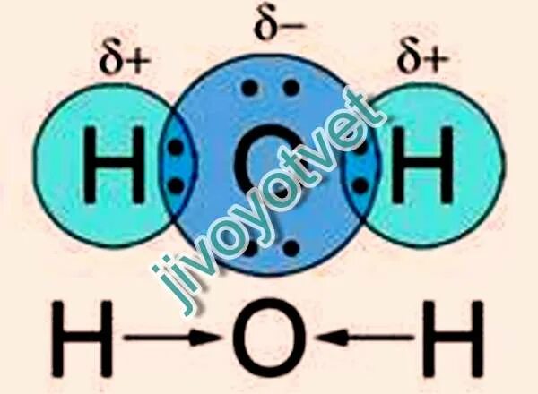 Связи в молекуле h2o