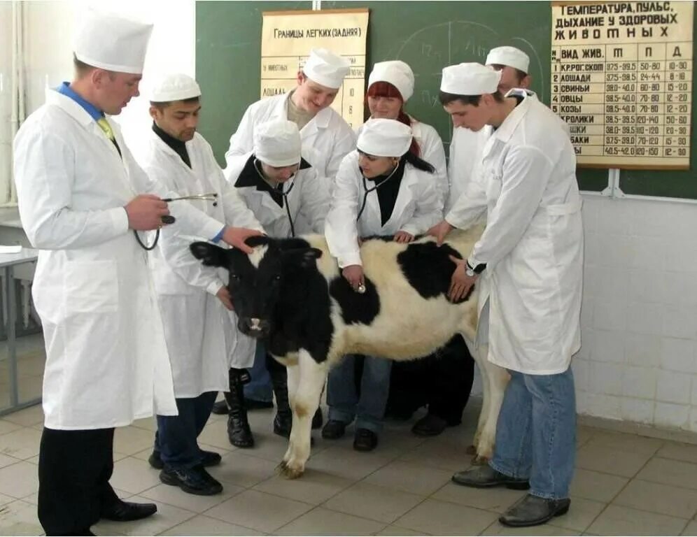 Кафедра паразитологии