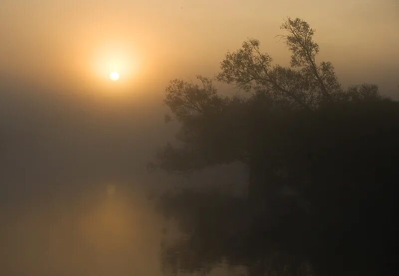 Солнце в тумане. Рассвет туман. Солнце в тумане. Солнце в тумане. Туманное летнее утро.