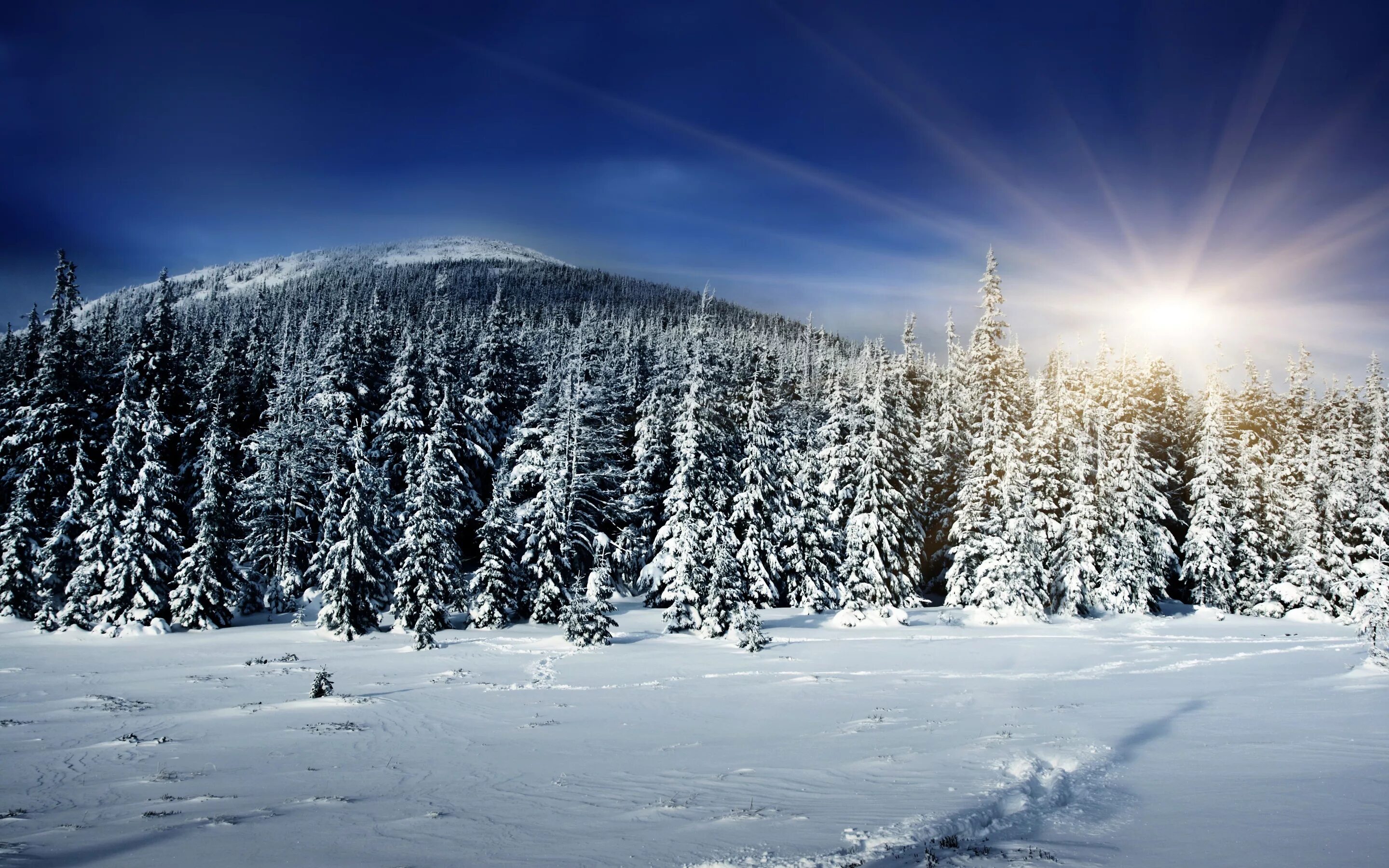 Красивые зимние картинки. Зимний лес. Зимний пейзаж. Снежный пейзаж. Зимняя природа.
