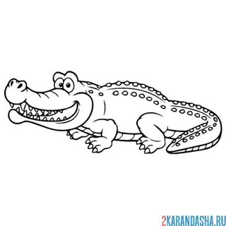 Крокодил рисунок животного