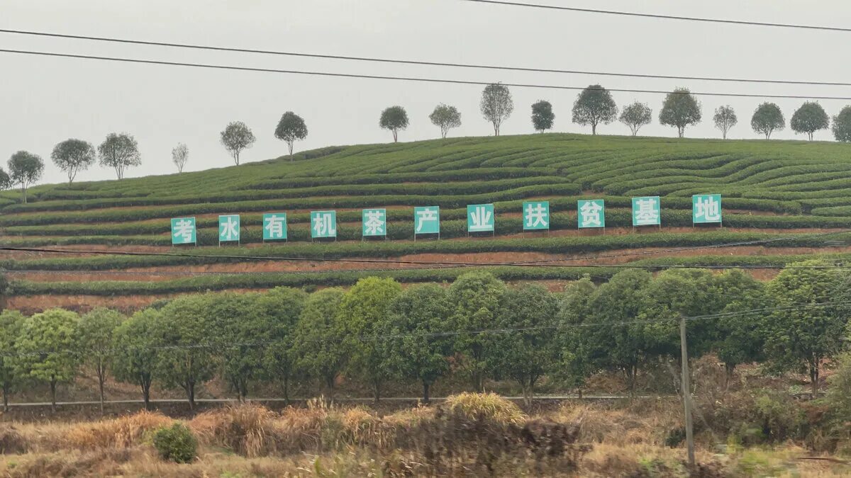 Уборочная страда. Спк колхоз гигант. Улицы деревушек китая. Колхоз 2022. Хоаси деревня в китае.