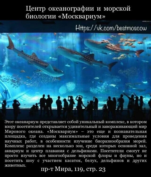 Москвариум на вднх карта. Центр океанографии и морской биологии «Москвариум». Москвариум схема. Центр океанографии в Москве. Схема ВДНХ океанариум.