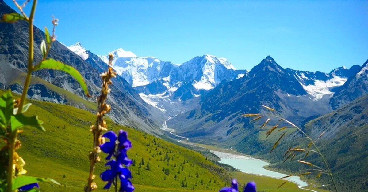 Горный Алтай. Легенда Алтайского края и горного Алтая. Горный Алтай величие. Горы Алтая фото.