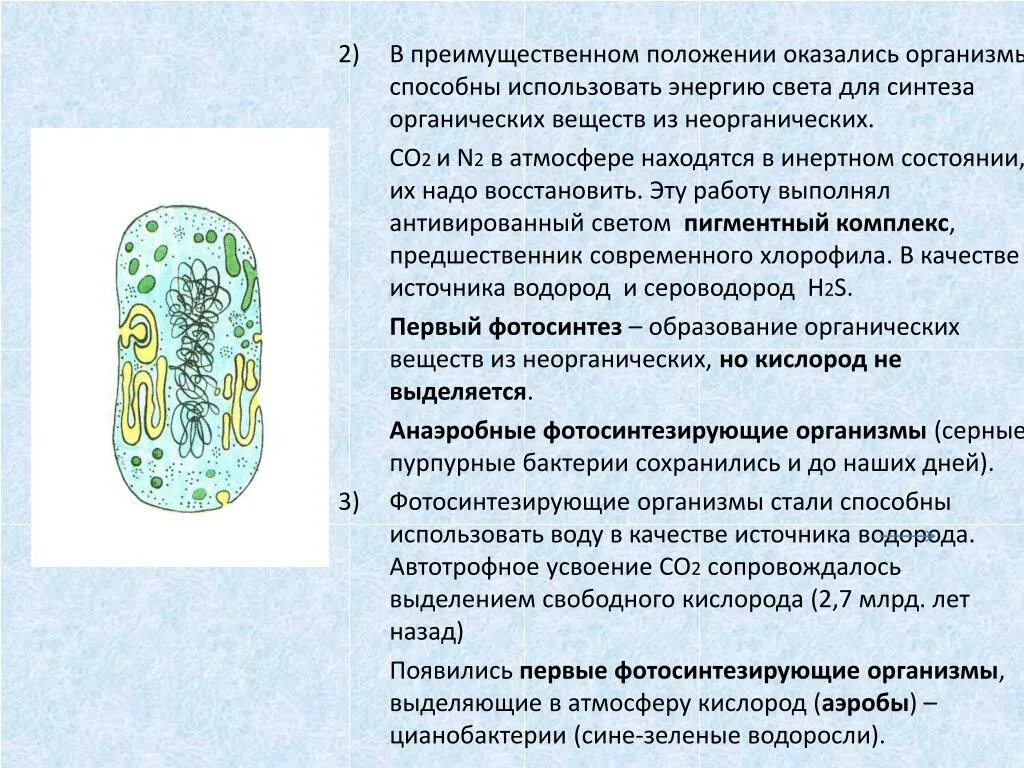 Первые живые организмы использовали. Первые фотосинтезирущие организме. Первые фотосинтезирующие организмы. Первые фотосинтезирующие организмы, выделяющие в атмосферу кислород.. Первыми автотрофными организмами на земле были.