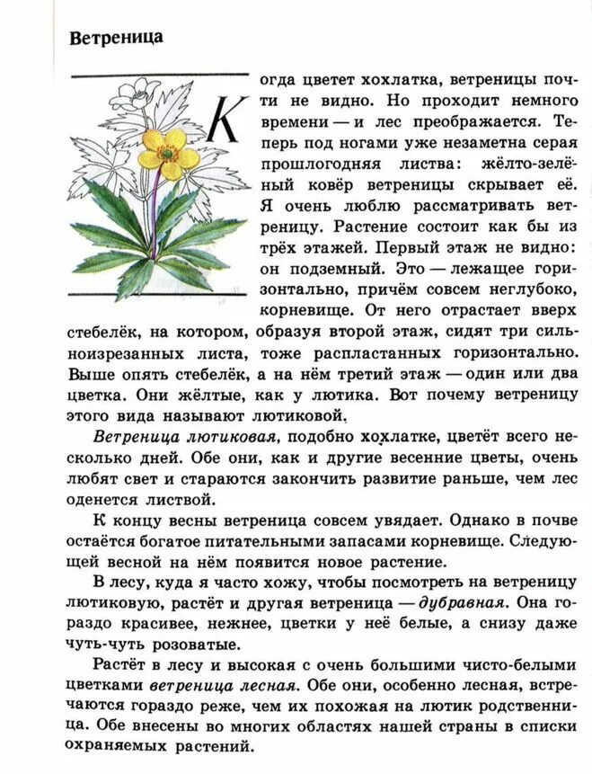 Плешаков окружающий мир зеленые страницы. Зеленый страницы 3 класса растения. Зелёные страницы плешаков первоцветы. Зелёные страницы 3 класс окружающий мир виды растений. Зелёные страницы 3 класс окружающий мир плешаков.