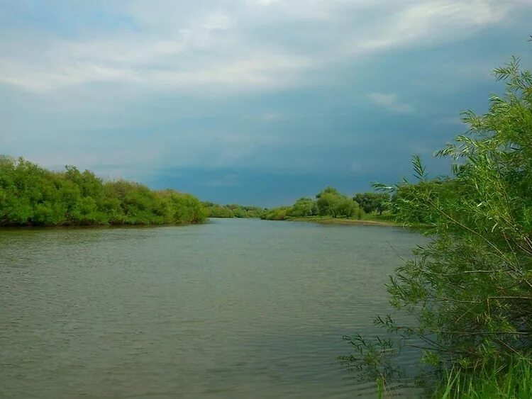 Река Ишим в Сергеевке. Ишимское водохранилище. Водоемы Ишим. Сергеевское водохранилище казахстан