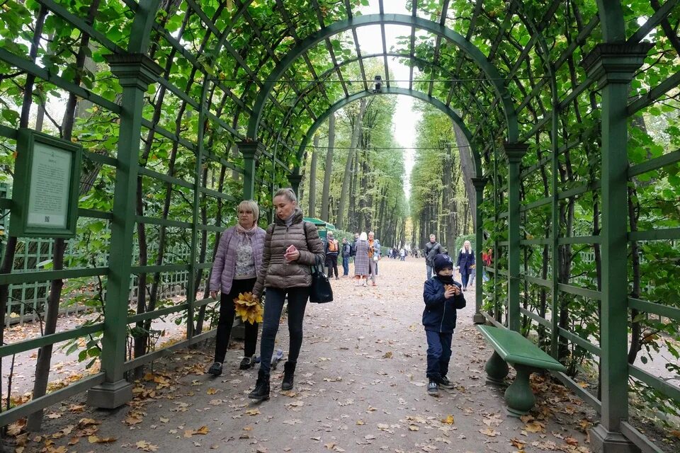 Летний сад петра 1 в санкт-петербурге. Оранжереи ботанического сада санкт-петербург. Ботанический сад петра великого в санкт-петербурге. Сады спб отзывы. Сады спб отзывы.