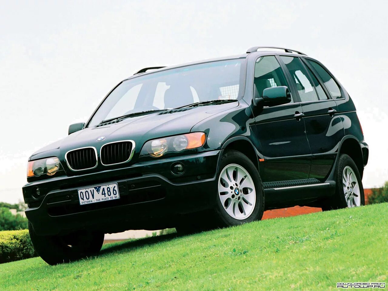 Х5 е53 м57. БМВ x5 e53. BMW x5 e53 2000. БМВ х5 53. BMW x5 e53 1999.