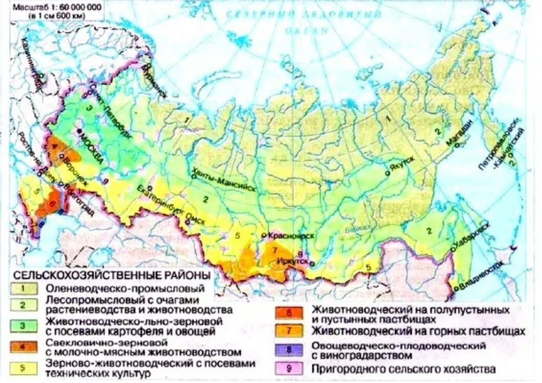 Основные районы возделывания сельскохозяйственных культур России. Основные районы животноводства в России на контурной карте. Карта сельского хозяйства России. Зональная специализация сельского хозяйства карта. Обозначьте природно хозяйственные зоны