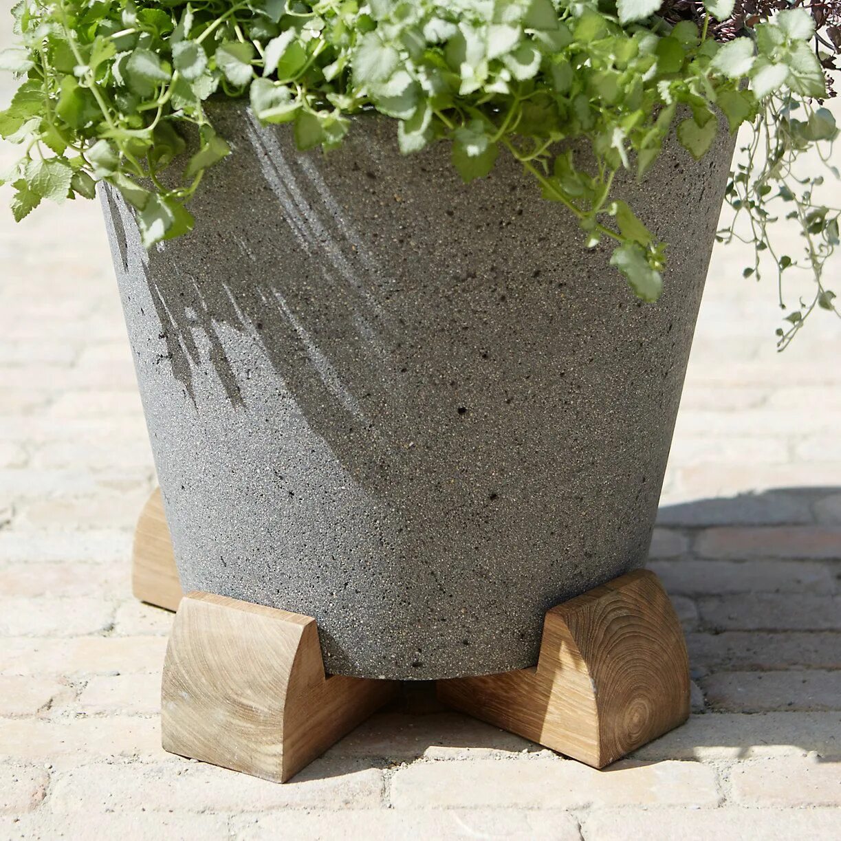 Деревянные кашпо Фабиан Смит. Вазон Max Planter-1121. Кашпо Urban beton. Самшит в кашпо. Кадка для растений