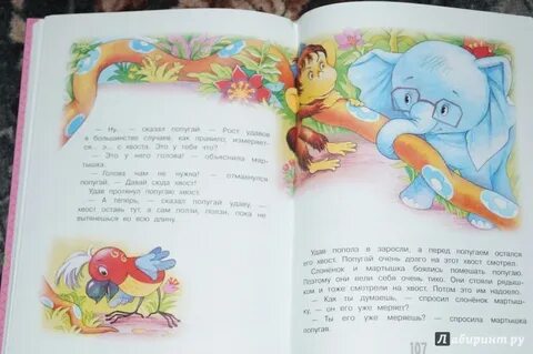 Остер зарядка для хвоста текст