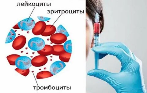 Лейкоциты эритроциты что это